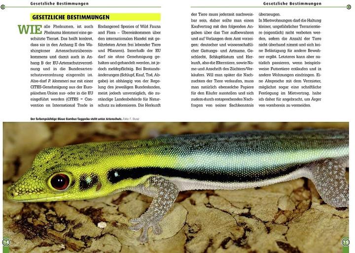 Image du produit Le gecko bleu diurne en bambou (Allemand, Ulrike Anders)