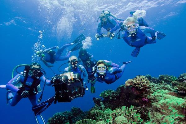 Produktbild Plaion Wonders of the Sea (3D-Blu-ray+2D) (Verkauf) (3D Blu-ray)