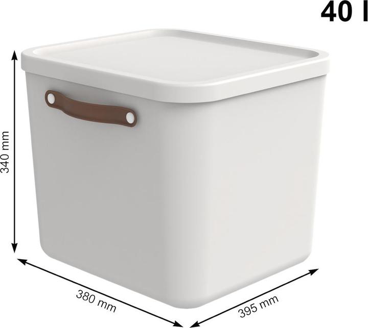 Produktbild Rotho Maloja (39.5 x 38 x 34 cm, 40 l, 1x)