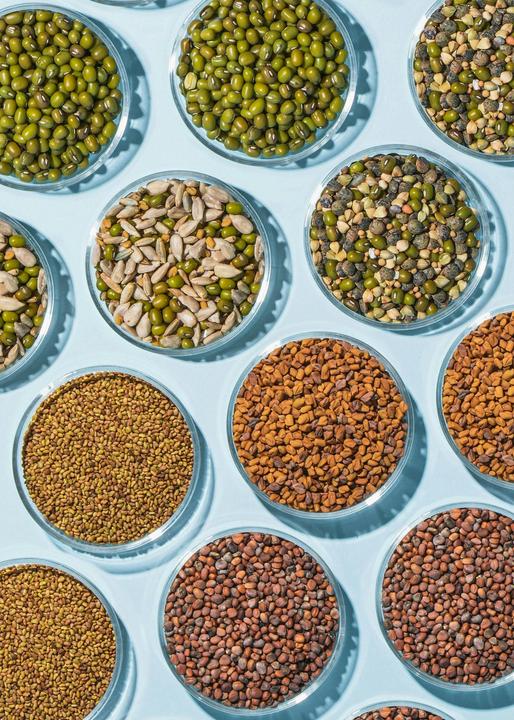 Produktbild KoRo Bio Sprossenbeutel