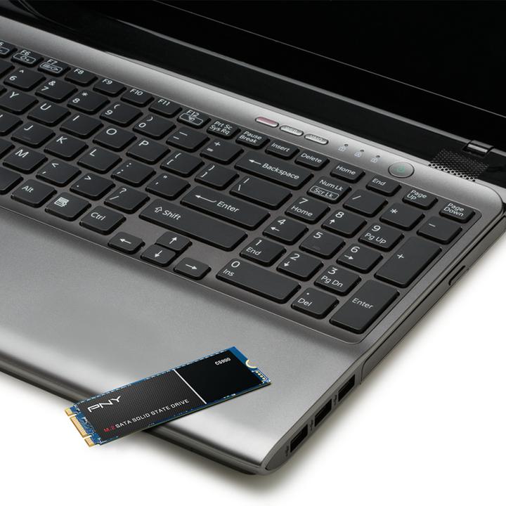 Image du produit PNY CS901 (250 Go, M.2 2280)