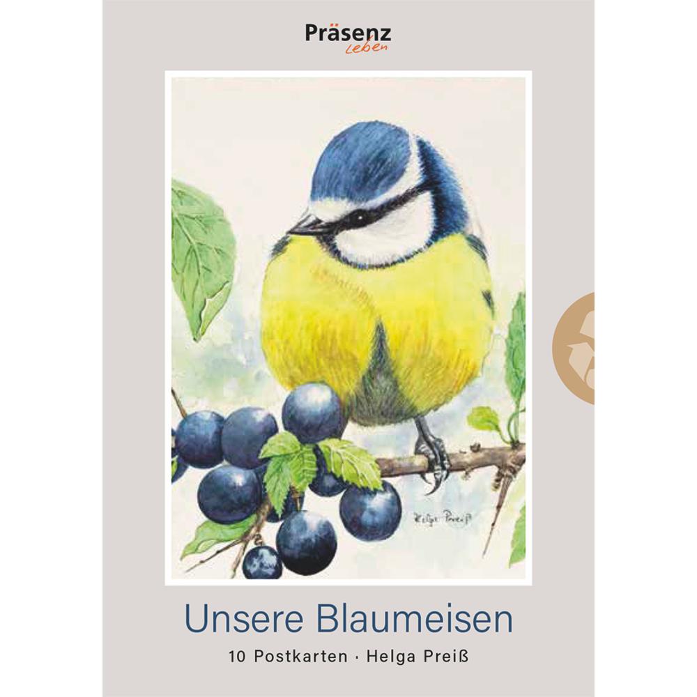 Präsenz-Verlag, Grusskarte + Briefpapier, Unsere Blaumeisen (10 Stk.)
