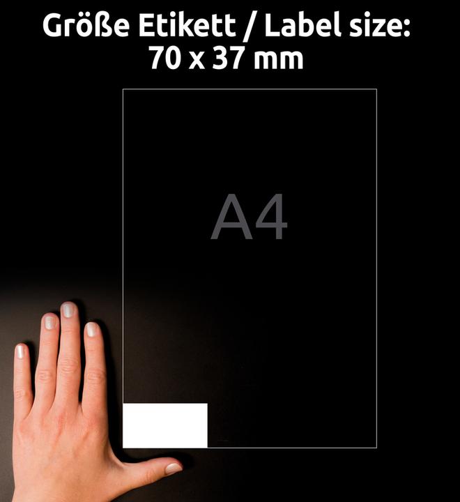 Actual product image Avery Weatherproof labels