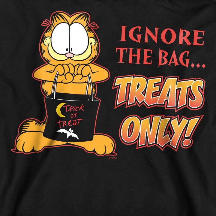 Actual product image Garfield Unisex Adult Treats Only Sweatshirt (M)