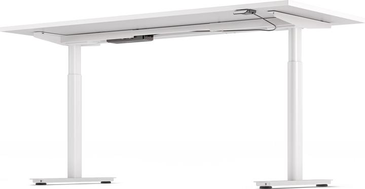 Actual product image ofinto Rise