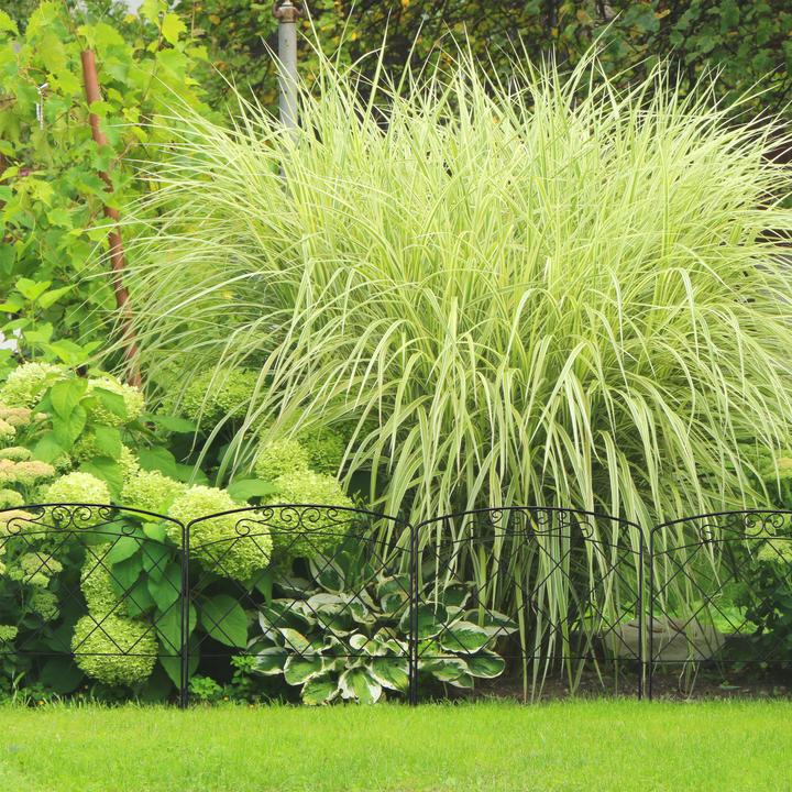 Image du produit Relaxdays Bordure potager, haut (245 cm)
