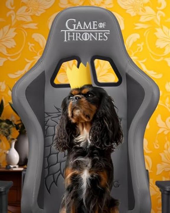 Image du produit Subsonic Pro Gaming Seat Game Of Thrones