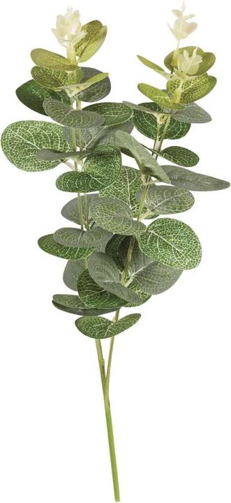 Actual product image Rayher Eucalyptus branch plastic (5 cm)