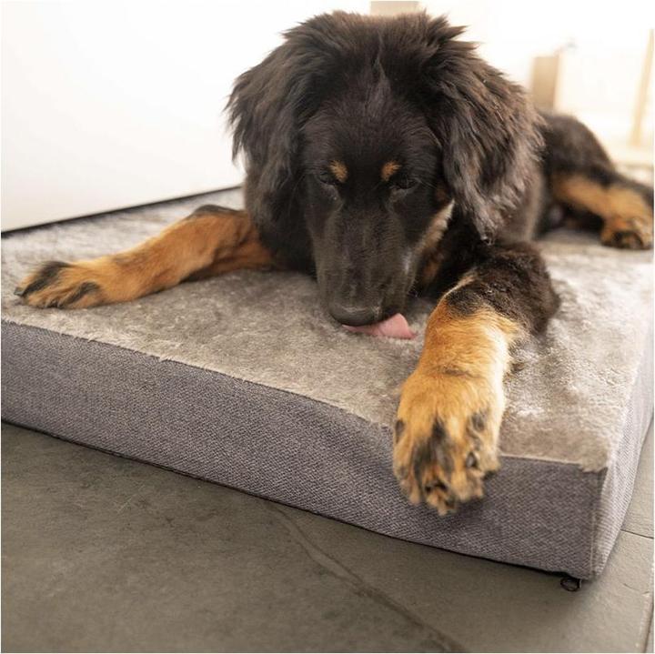 Actual product image Flamingo Carlota cushion grey L (Dog)