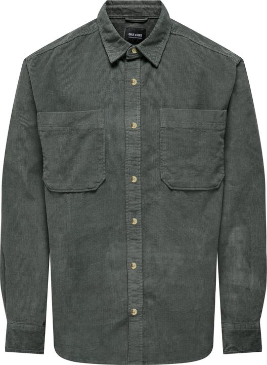 Gris Castor Gray