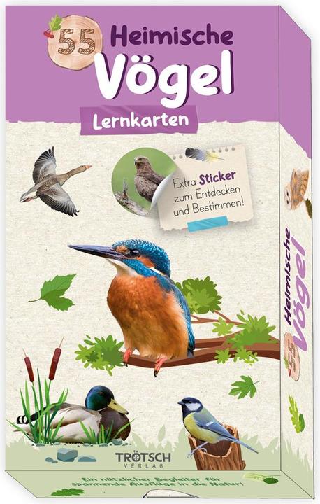 Produktbild 55 Lernkarten Heimische Vögel (Deutsch)