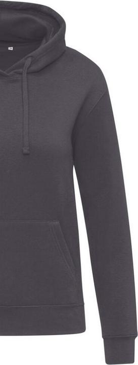 Produktbild SG Fashion Originals Kapuzenpullover (M)