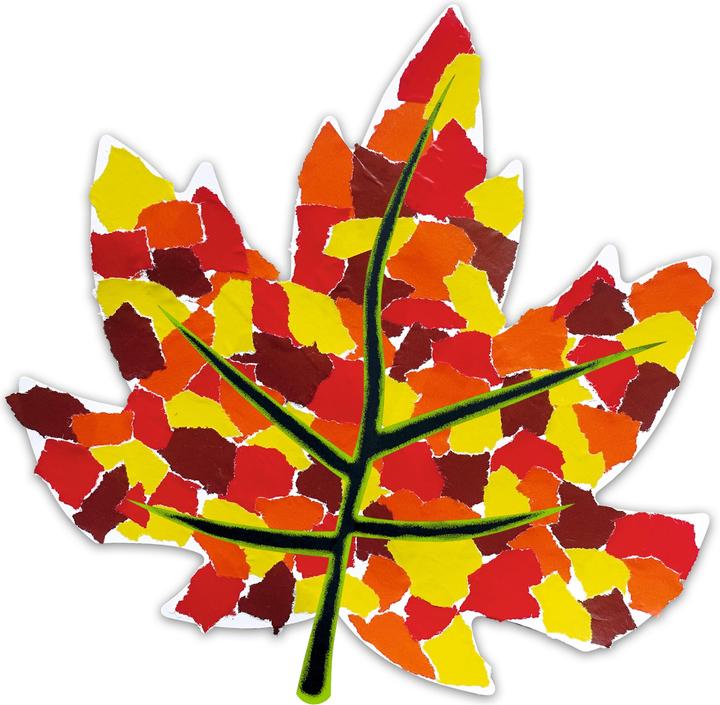 Immagine prodotto Ursus Blanko Fotokarton-Motive (230 g/m², 20x)