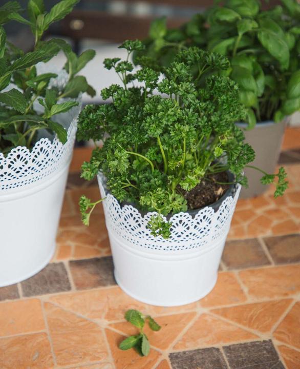 Image du produit Esmée Pot de fleurs, cache-pot avec pointes, tôle (14 cm)