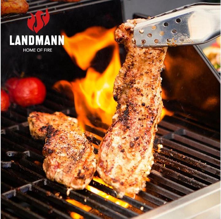 Produktbild Landmann Rexon PTS 3.1