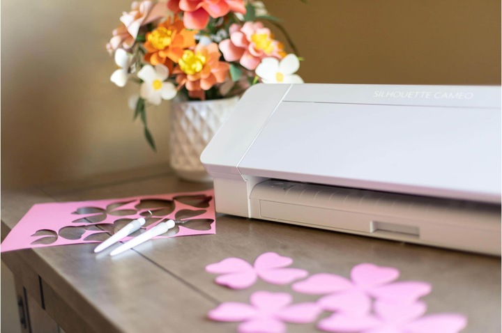 Actual product image Silhouette Cameo 4