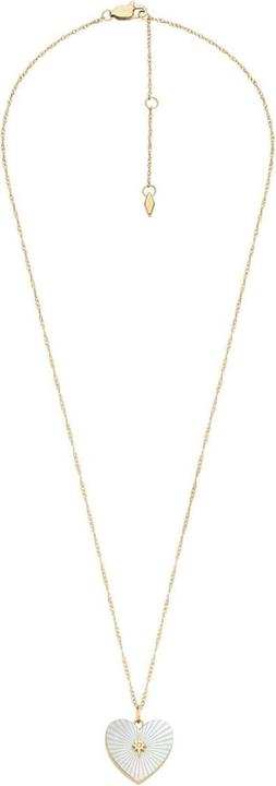 Produktbild Fossil Locket Collection (Stainless Steel, 40 - 46 cm)