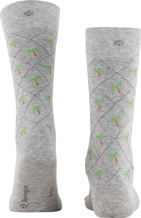 Immagine prodotto Burlington Palm Tree (Confezione singola, 40 - 46)