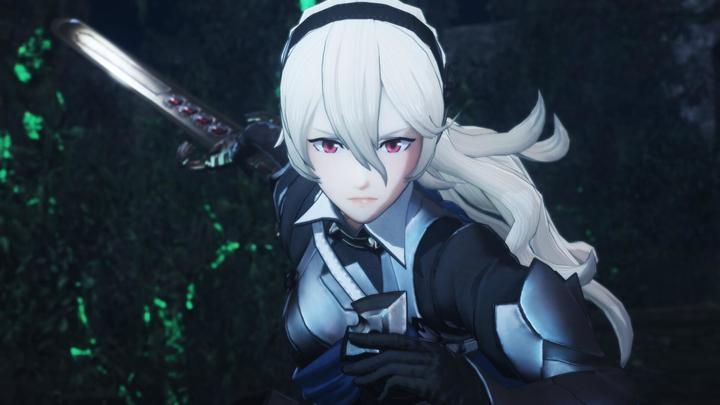 Image du produit Nintendo Fire Emblem Warriors (2DS/3DS) (3DS, EN)