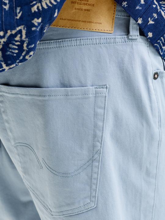Actual product image Jack & Jones Regular Fit Shorts Shorts (S)