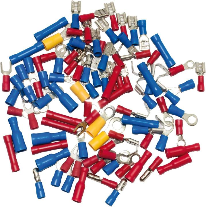 SW-Stahl S3180 Kabelschuhsortiment