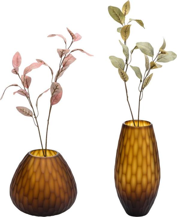 Immagine prodotto Fiebiger Eukalypa (8 cm)