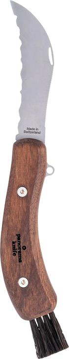 Produktbild Panorama Knife Pilzmesser (10 cm)
