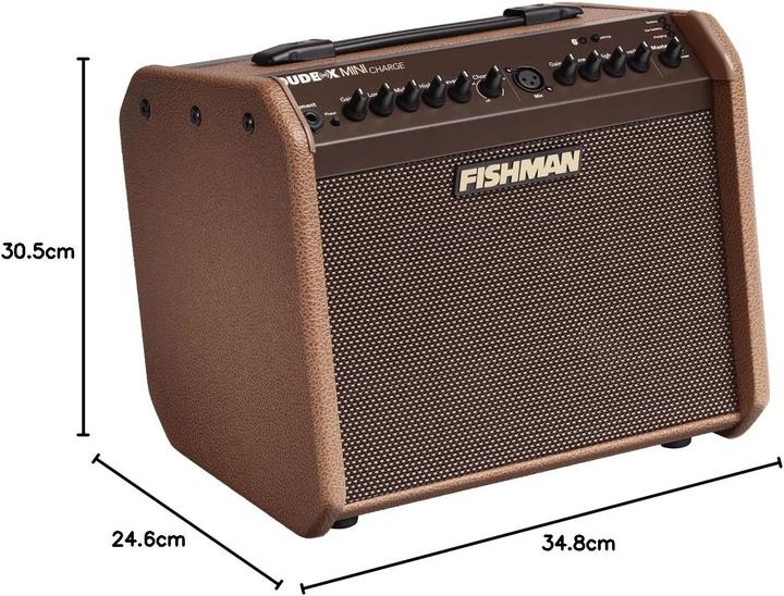 Actual product image Fishman PRO-LBC-500 Loudbox Mini Charge portable audio amplifier with Bluetooth (Guitar, 60 W)