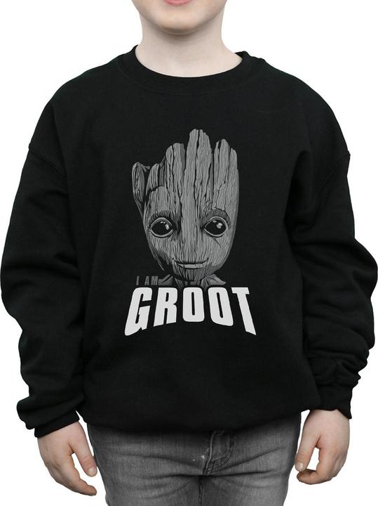 Image du produit - Sweat GUARDIANS OF THE GALAXY GROOT FACE - Garçon (152, 158)