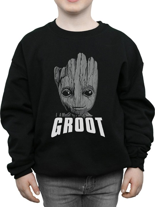 Image du produit - Sweat GUARDIANS OF THE GALAXY GROOT FACE - Garçon (116)