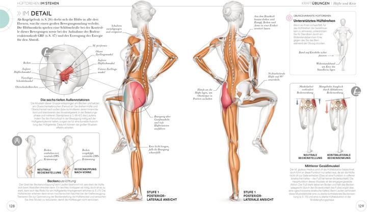 Produktbild Lauftraining – Die Anatomie verstehen (Deutsch, Chris Napier, 2020)