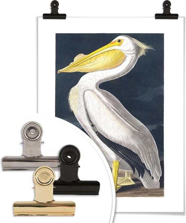 Produktbild Trenddeko Pelikan (40 x 50 cm)