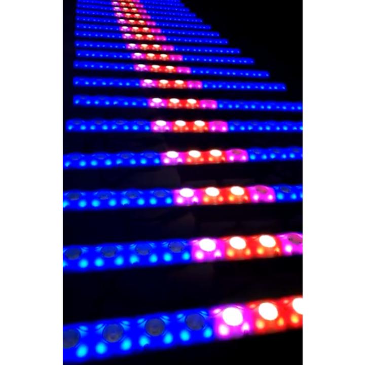 Image du produit BeamZ LCB14 (3 W, LED)