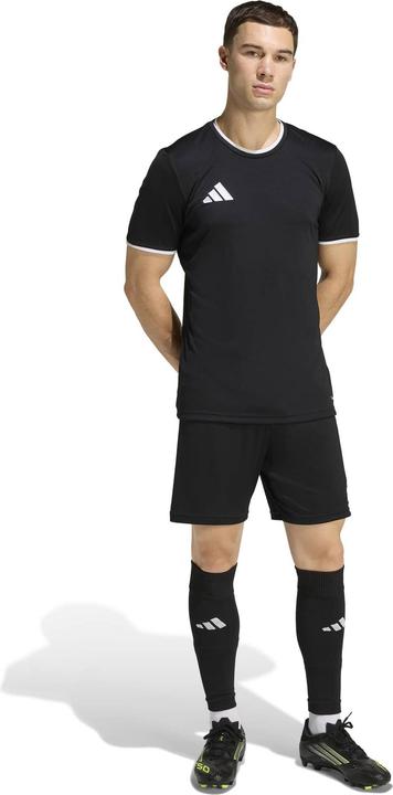 Produktbild Adidas Entrada Shorts (L)