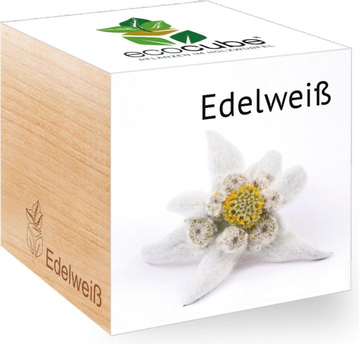 Image du produit Feel Green Ecocube (Graines de fleurs)