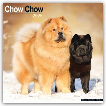 Avonside Publishing Ltd:Chow Chow 2025 (30.5 x 30.5 cm, Harter Einband, Deutsch)