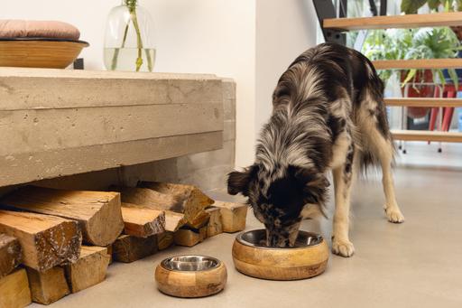 Produktbild Designed by Lotte Mandira (130 cl)