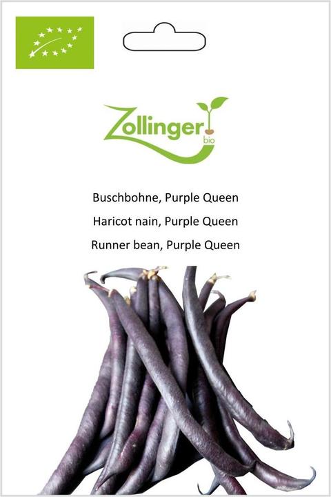 Produktbild Zollinger Bio Buschbohne, Purple Queen