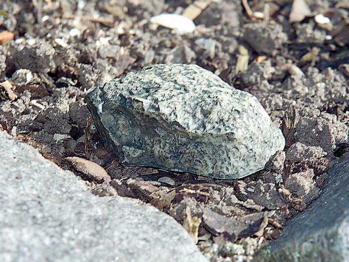 Immagine prodotto Lunartec Nascondiglio segreto