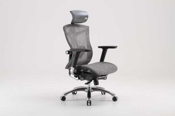 Sihoo V1 Ergonomic Office Chair, gray