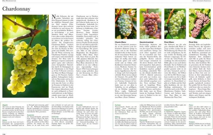 Produktbild Wein (Deutsch, Jens Priewe, 2017)