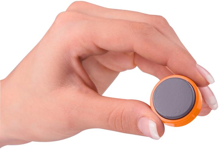 Image du produit Maul FacetterandMagnet MAULpro orange (20 x)