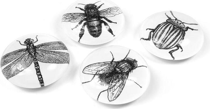 Produktbild Trendform Eye (4x)