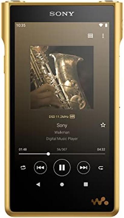 Sony NW-WM1ZM2 (256 Go)