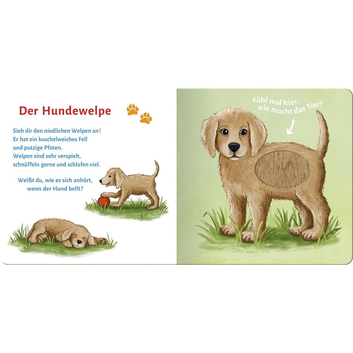 Thumbnail - Ullmann, Babybücher, Sound- und Fühlbuch Tierkinder (mit 6 Sounds und Fühlelementen) (Deutsch)