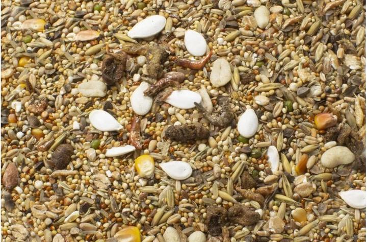 Actual product image JR Farm Farm Dwarf Hamster Feast (0.60 kg, 1 x)