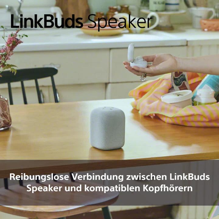 Productafbeelding Sony SRS-LS1 (25 h, Oplaadbare batterij)