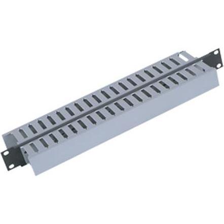 Triton 19" panel 1U with 2x cable trunking (RAB-VP-X03-A1)