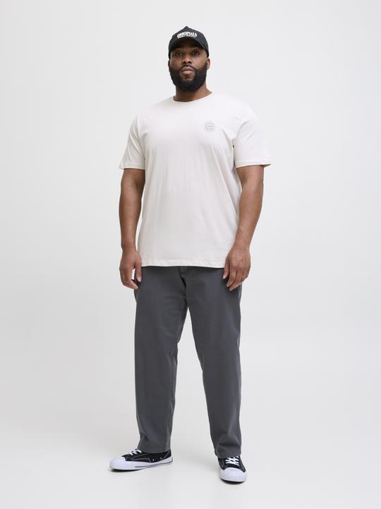 Produktbild Jack & Jones Jpstkane Fctry Fabric2 L2 Chino Pant Pls (W40/L34)