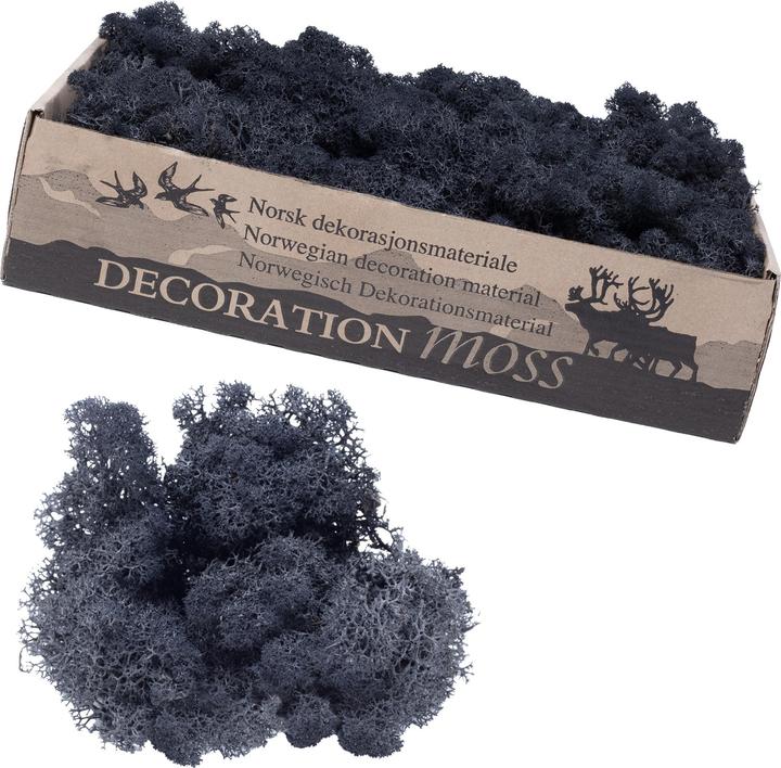 Actual product image Flowerbox Iceland moss